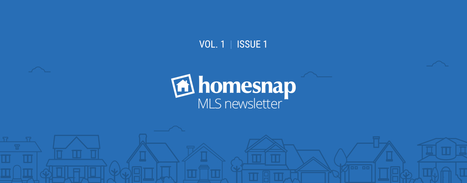 Homesnap MLS Newsletter: January 2019